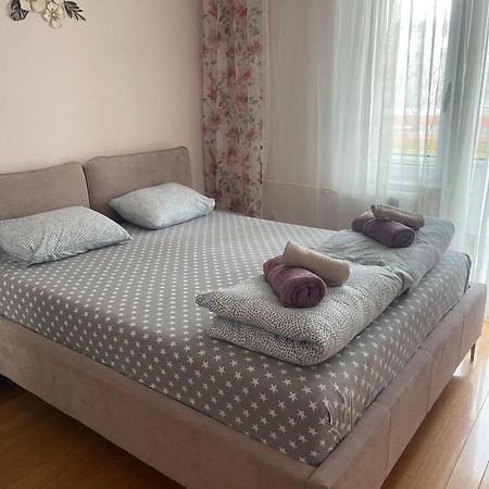 Apartment Elefant 021 Novi Sad Bagian luar foto