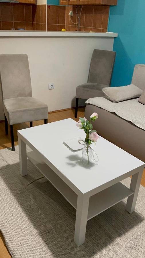 Apartment Elefant 021 Novi Sad Bagian luar foto
